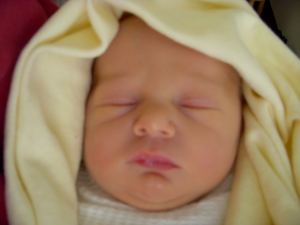Autumn sleeping